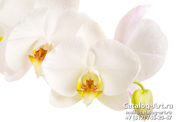 картинки для фотопечати на потолках, идеи, фото, образцы - Потолки с фотопечатью - Белые орхидеи 11